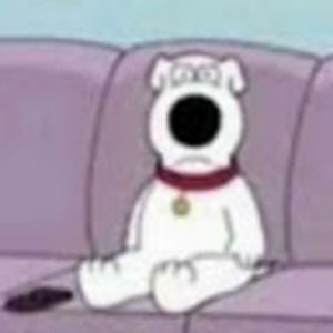 Meet your Posher, Wes